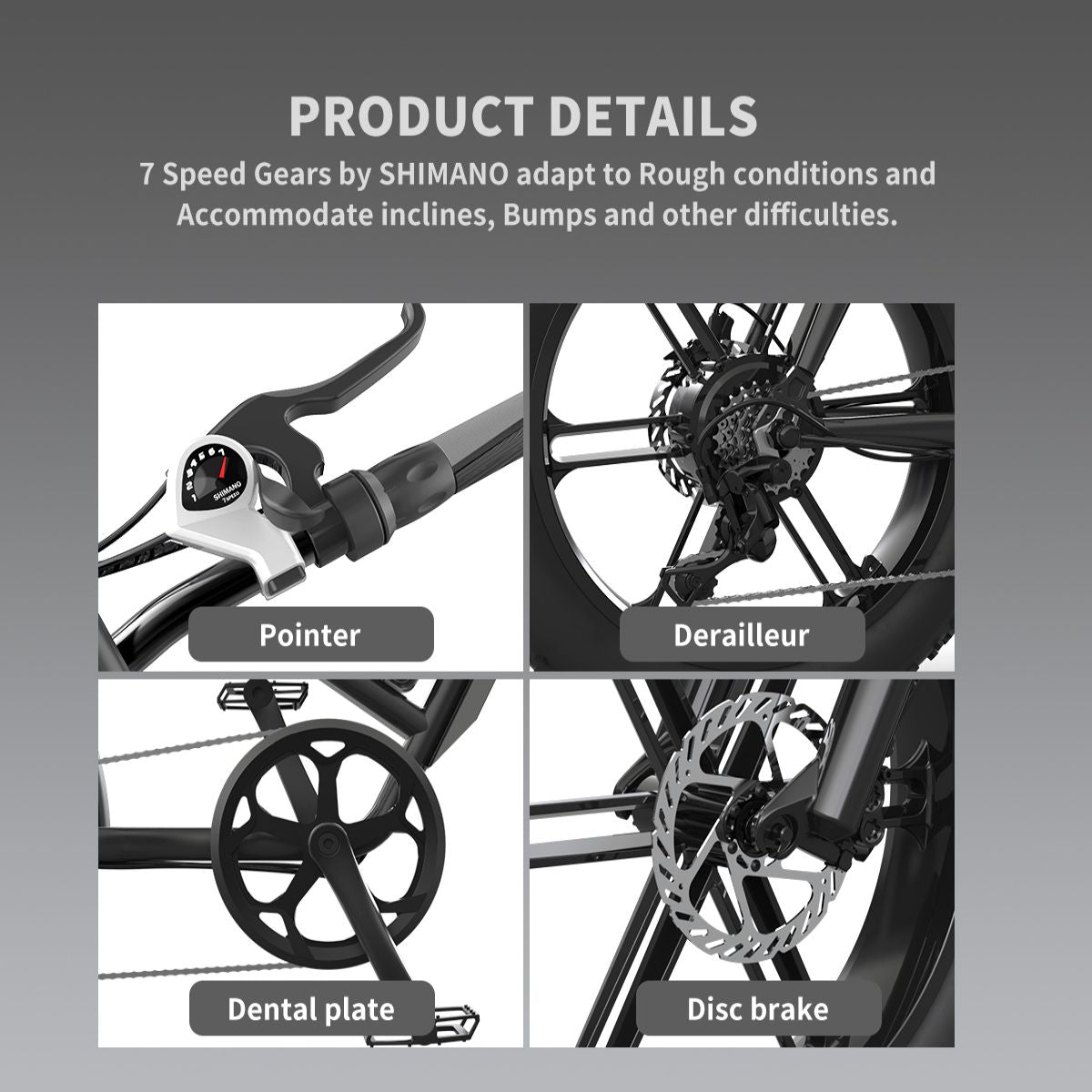 750W 20inch Fat Tires Electric Mountain Snow Bike 25 mph 48V 12.5AH Removable Lithium Battery Ebike