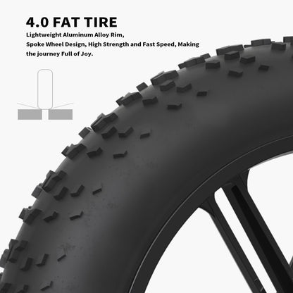 750W 20inch Fat Tires Electric Mountain Snow Bike 25 mph 48V 12.5AH Removable Lithium Battery Ebike