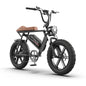 750W 20inch Fat Tires Electric Mountain Snow Bike 25 mph 48V 12.5AH Removable Lithium Battery Ebike