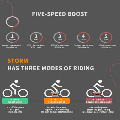 750W 20inch Fat Tires Electric Mountain Snow Bike 25 mph 48V 12.5AH Removable Lithium Battery Ebike