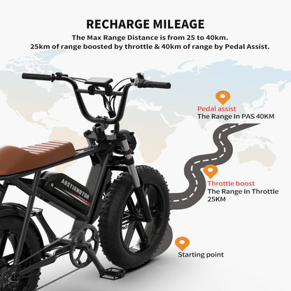 750W 20inch Fat Tires Electric Mountain Snow Bike 25 mph 48V 12.5AH Removable Lithium Battery Ebike