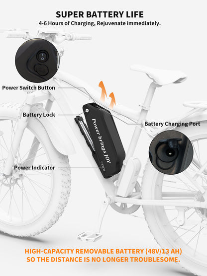 750W 26 inch Fat tire Electric Bike 28 mph 48V 13AH Removable Lithium Battery Ebike with Rack
