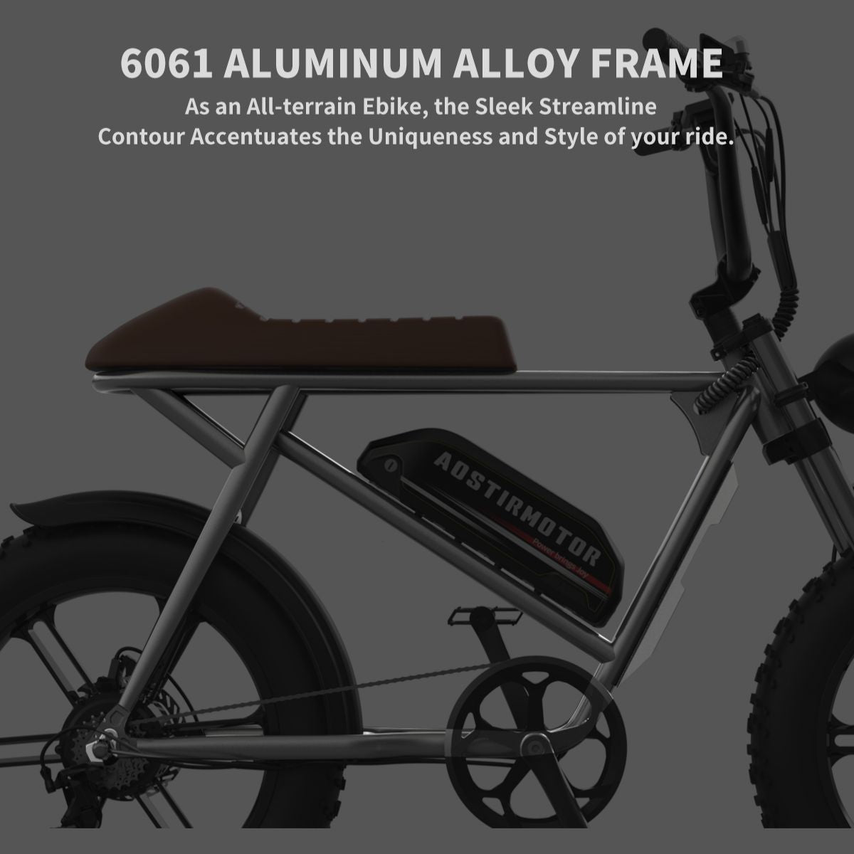 750W 20inch Fat Tires Electric Mountain Snow Bike 25 mph 48V 12.5AH Removable Lithium Battery Ebike
