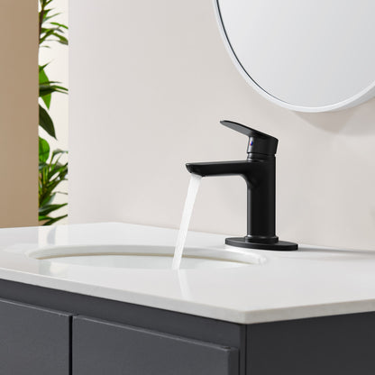 Matte Black Bathroom Sink Faucet, Single Handle Vanity Faucet for 1-Hole or 3-Hole Installation with Deck Plate, Laundry Faucet with 2 Included 9/16" Water Supply Hoses