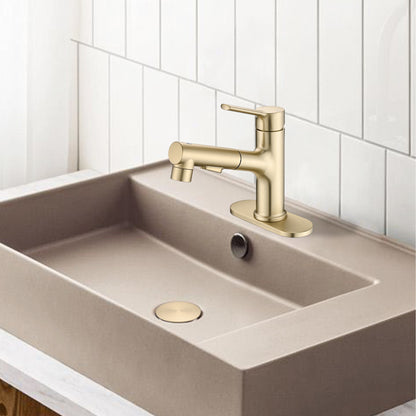 Brushed Gold Bathroom Sink Faucet with Pull-Out Sprayer, Single Handle Modern Vanity Faucet with Pop-Up Drain & Deck Plate