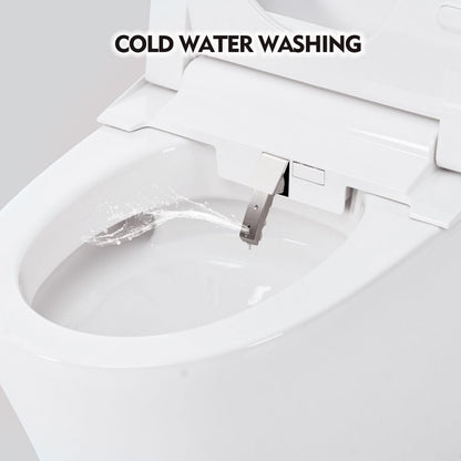 12 Inch Rough In Size Smart Toilet with Bidet Built in, Soft close Elongated Seat , Heated Seat, Foot Sensor Flush, Water-Saving Powerful Flush, Washing Nozzle, Night Light,Tankless Toilet
